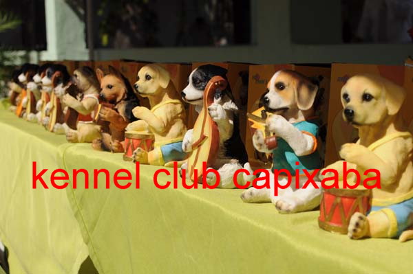 Clique sobre a foto para fechar